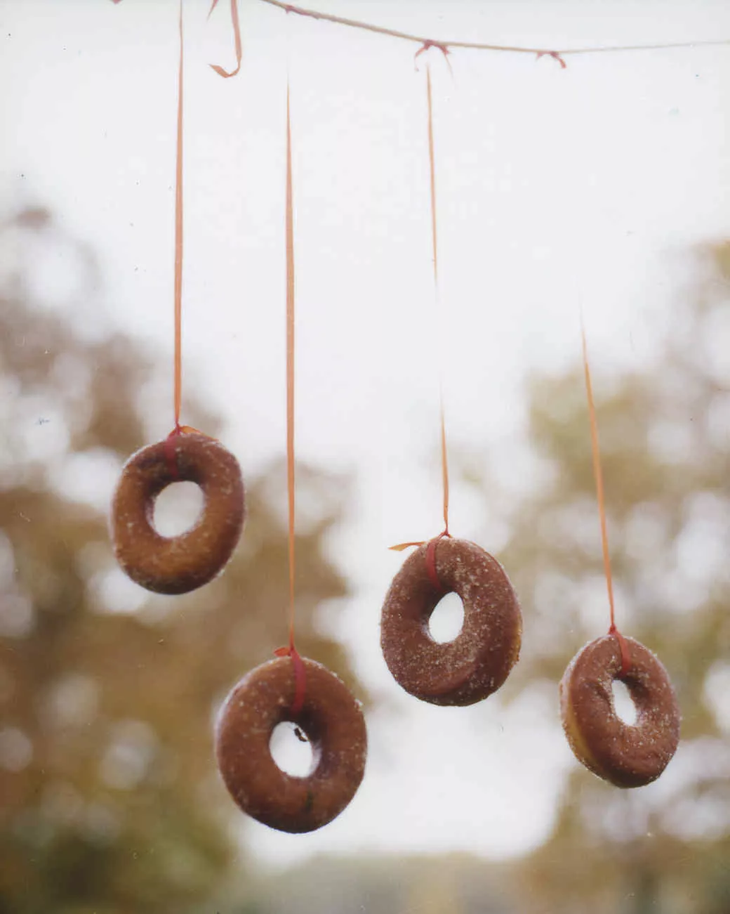 Doughnuts on a String